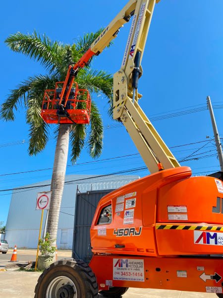 Plataforma Articulada